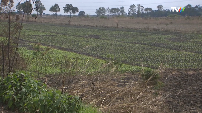 AGROPROCESSAMENTO.png