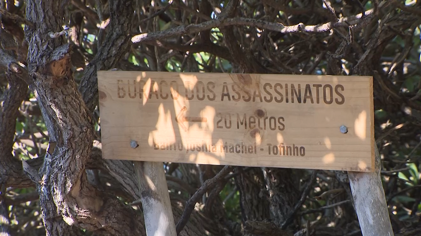ASSASSINOS.png