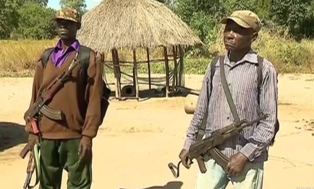 Deserdores_renamo.jpg