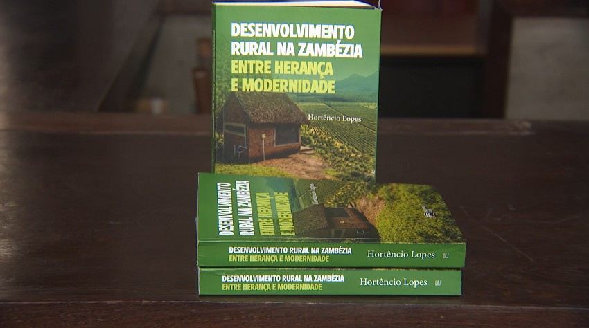 HORTENCIA.png