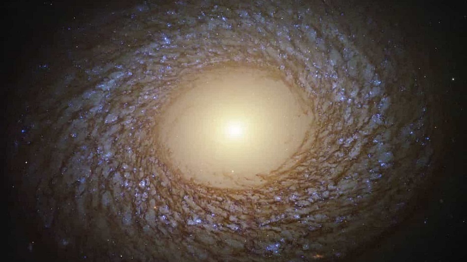 NASA1.jpg
