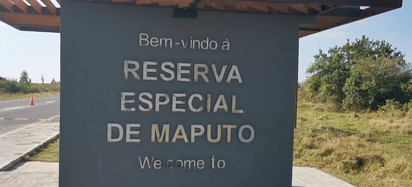 PARQUE.png