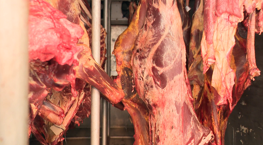 carne_bovina.png