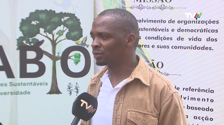 diversidade.png