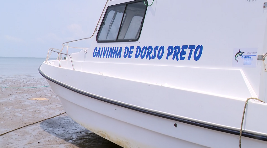 gravinha.png