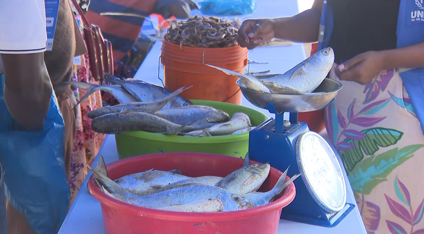 peixee.png