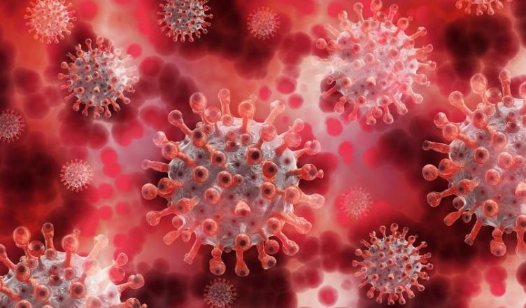 representacao-grafica-do-novo-coronavirus-causador-da-doenca-covid-19-752x440.jpeg