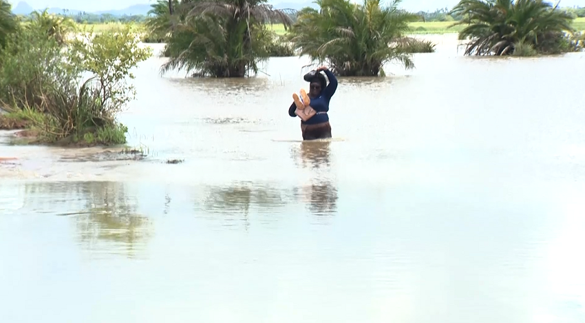 rio_arasul.png